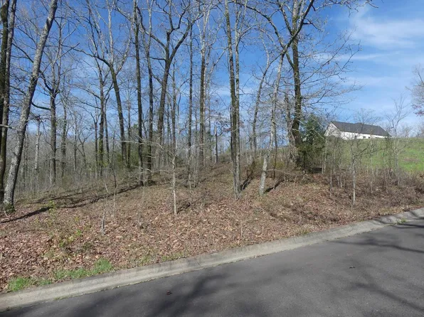 LOT 8 Rose Creek Ct, Hot Springs National Park, AR 71901