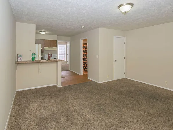 Shady Tree Apartments