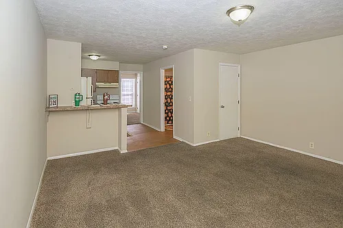 Shady Tree Apartments Photo 1