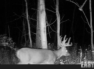 33467 Shaffer Rd, Guys Mills, PA 16327