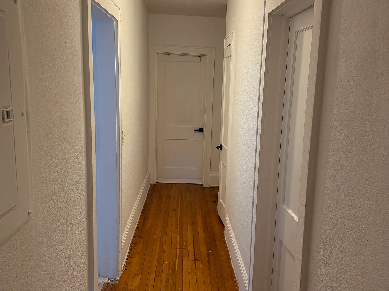 5 bed, 3.5 bath, 1247 sqft, $2,800 — Photo 4