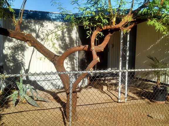 Backyard/back pation