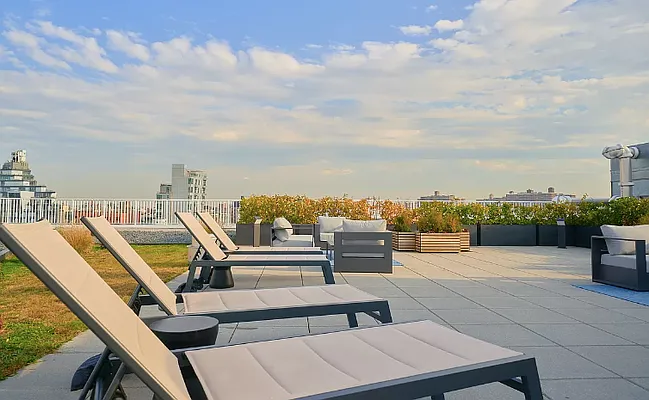 Rented by Living New York | media 16