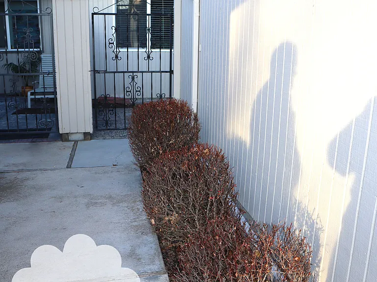210 W Arrowrock Ln — Photo 3