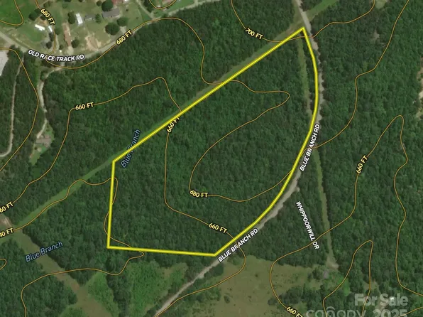 0 Blue Branch Rd Tract C, Gaffney, SC 29340