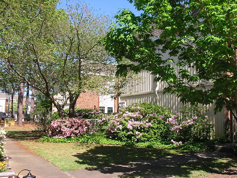 1, 2, & 3 Bedroom Apartments