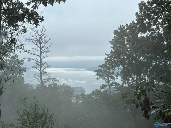 Co Road 77, Scottsboro, AL 35769