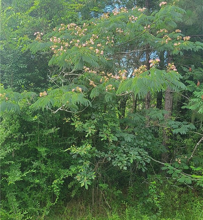 1st image of 0 County Road 9