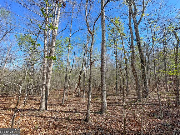 4th image of 65 / Acres