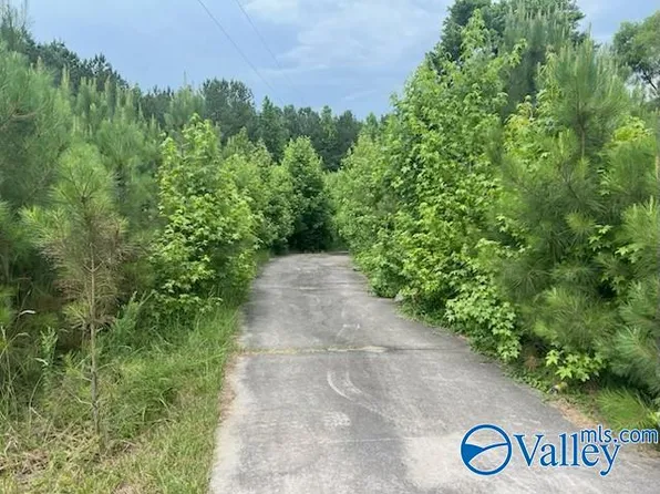 1321 John L Gap Rd, Boaz, AL 35956