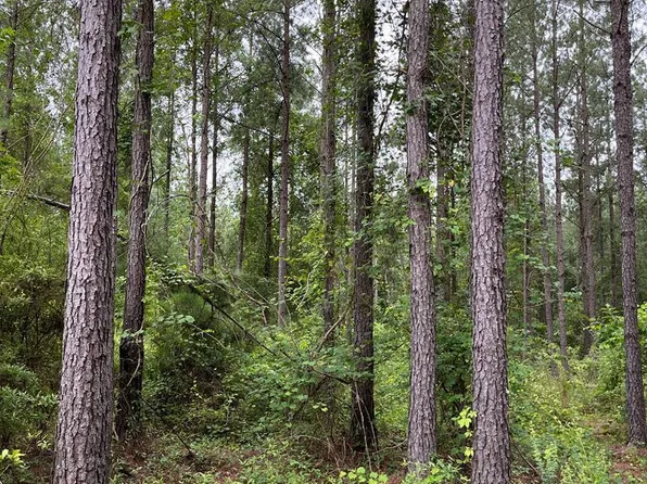 0 County Road 6629, Banks, AL 36005