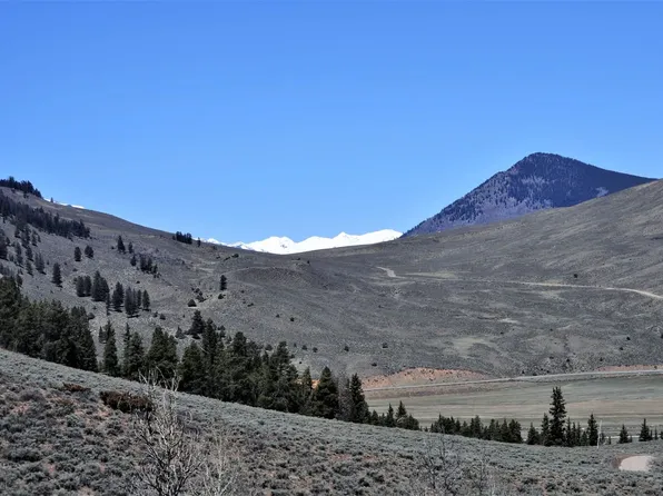 LOT 25 Wilder Mountain Rd, Almont, CO 81210