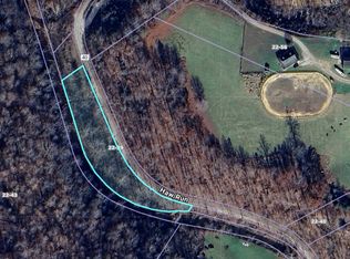 0 Haw Run, Gay, WV 25244