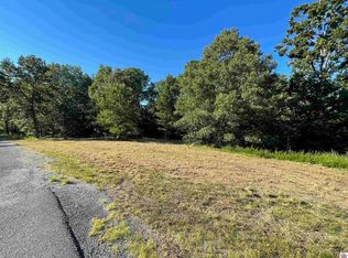 45 & 46 Patricia Dr, New Concord, KY 42076