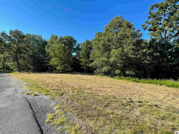 0 Patricia Dr, New Concord, KY 42076