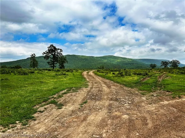 1 Ogden Mills Trl, Wister, OK 74966