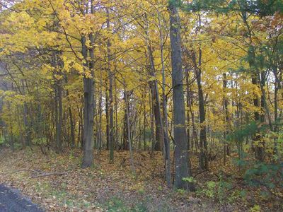 PARCEL 2 66th St, Saugatuck, MI, 49453