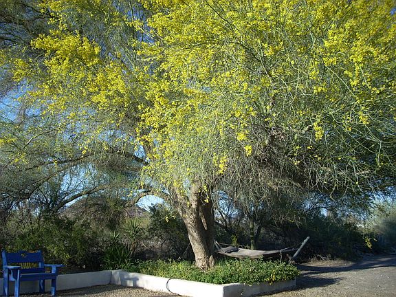 sitting area in back