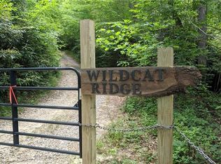 9999 Bee Tree Rd, Swannanoa, NC 28778