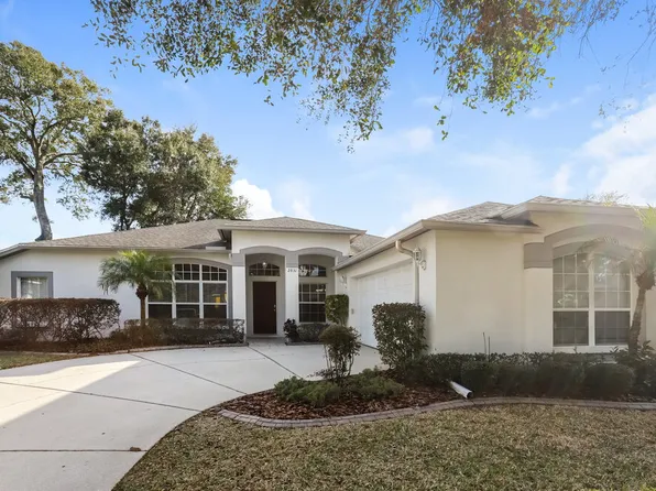 2831 Laurel Leaf Dr, Valrico, FL 33594