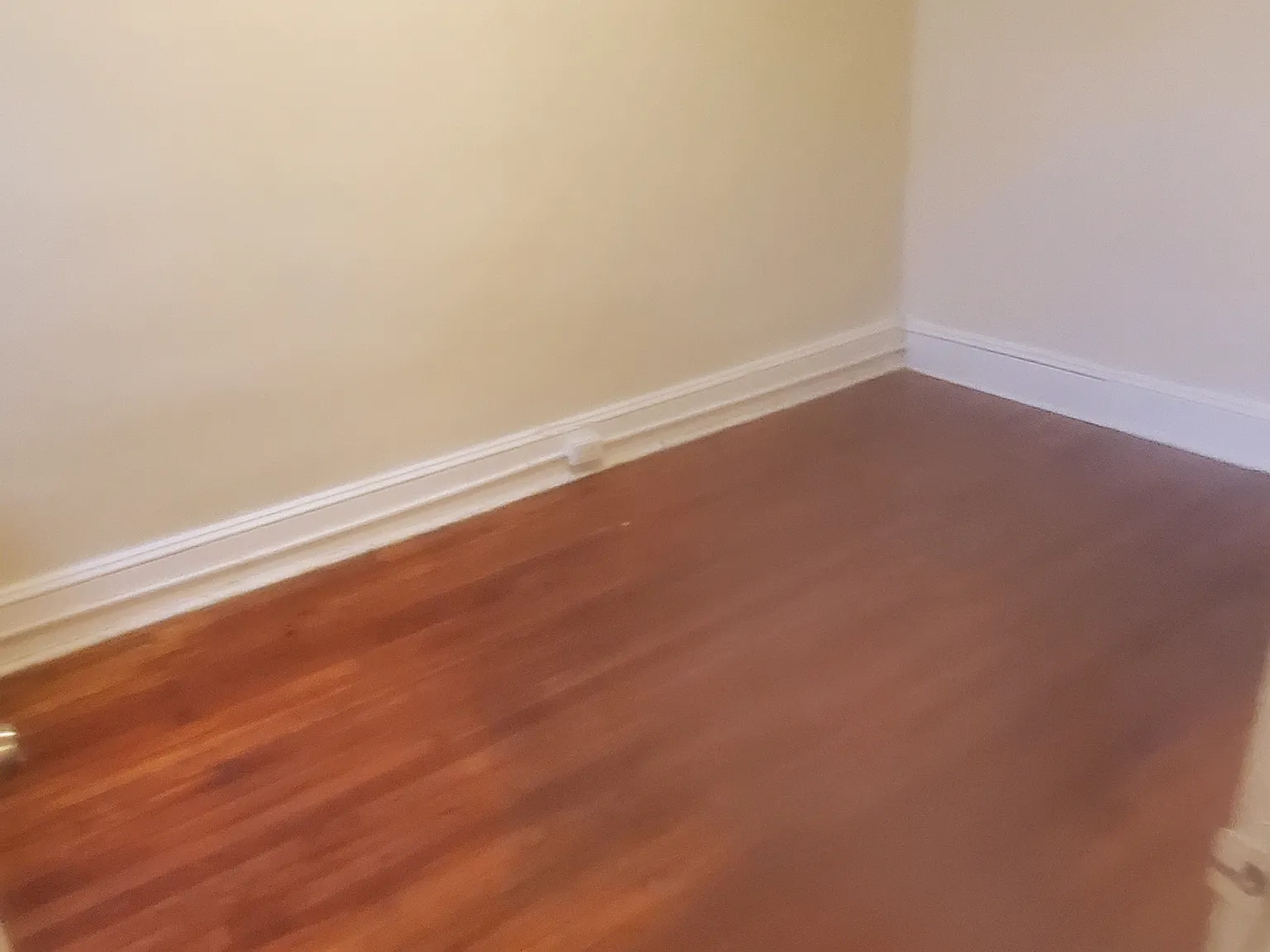 3 bed, $1,695 — Photo 3