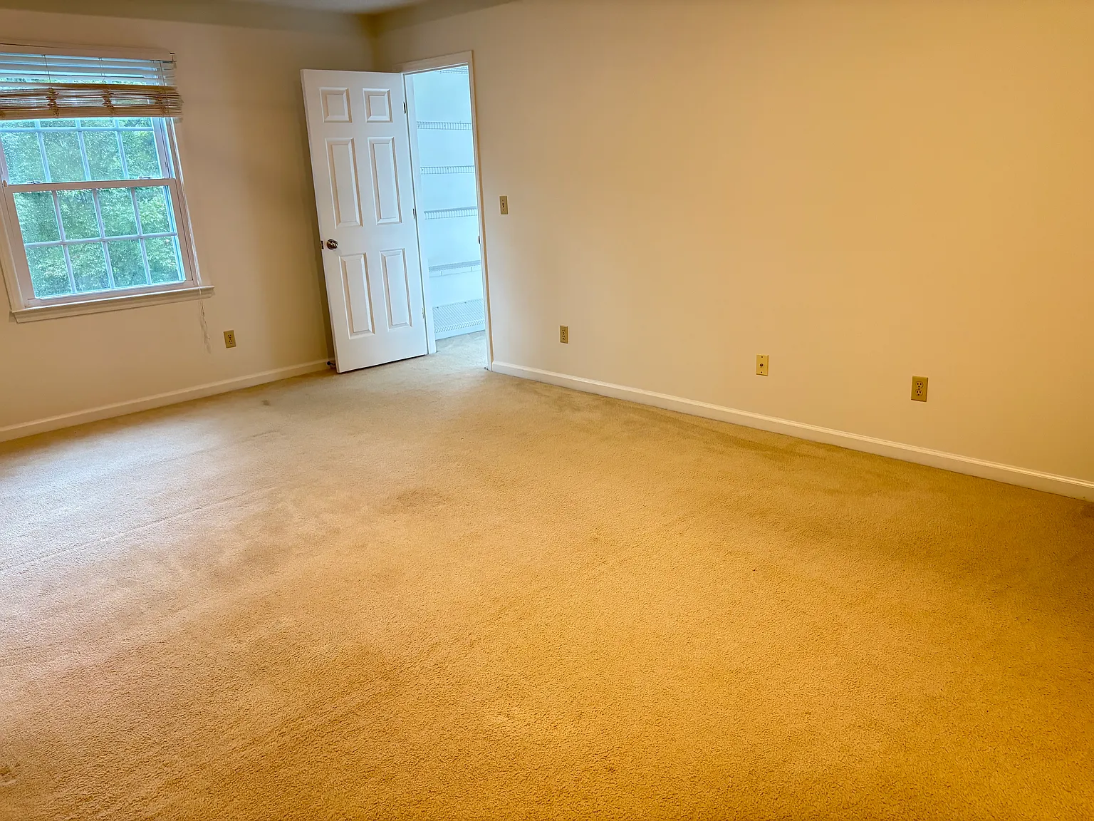 3512 Summerfield Ln — Photo 4