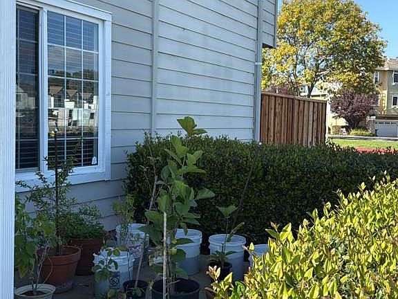 Frontyard