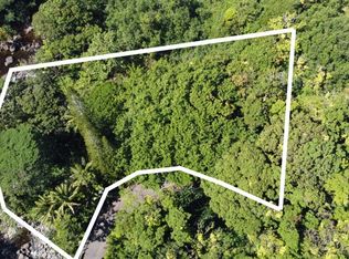 31345 Old Mamalahoa Hwy LOT 3-2, Hakalau, HI 96710
