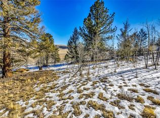 2996 Redhill Rd, Fairplay, CO 80440