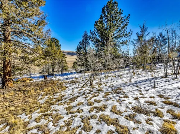 2996 Redhill Rd, Fairplay, CO 80440