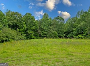 464 Deer Meadows Estates Rd, Carnesville, GA 30521