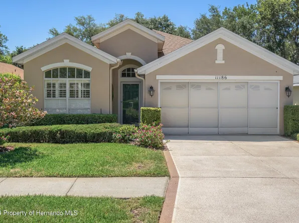 11186 Heathrow Ave, Spring Hill, FL 34609