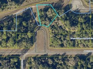 516 Holly Ter, Labelle, FL 33935