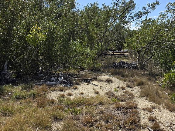 2nd image of 838 Loggerhead Ln