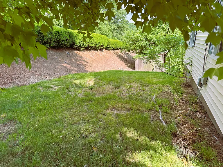 Private side yard