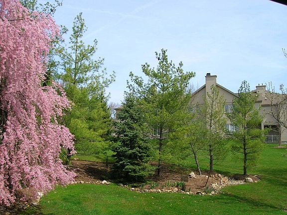 View From Back Door