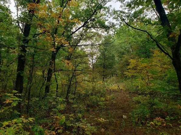 2851 E 2539th Rd, Marseilles, IL 61341