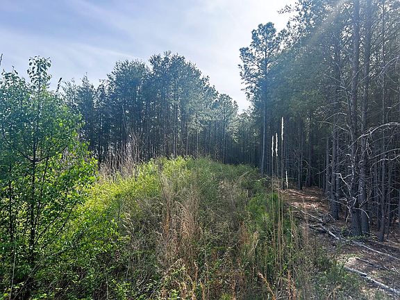 3rd image of 7 SW Owl Hollow Rd