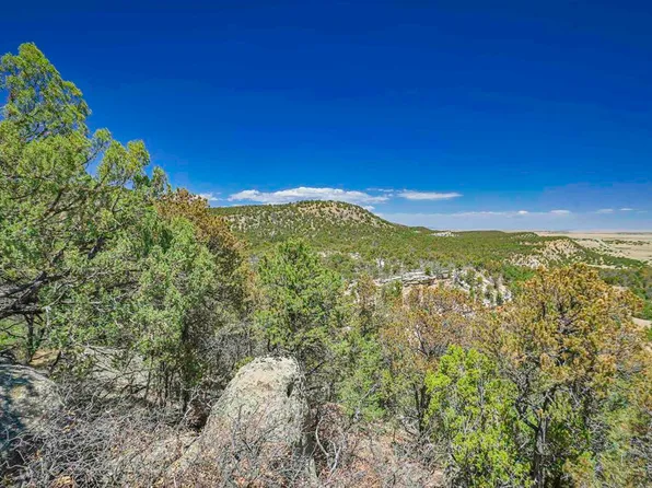 TBD Rikki Rowdy Place, Aguilar, CO 81020