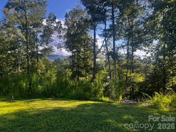 23 Mountain Pkwy, Mill Spring, NC 28756