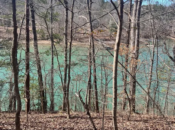 6 C Downs Subdivision #T, Double Springs, AL 35553