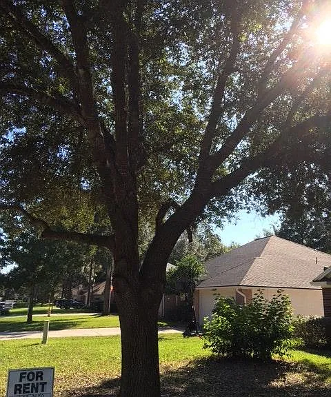 248 Clover Ct — Photo 14