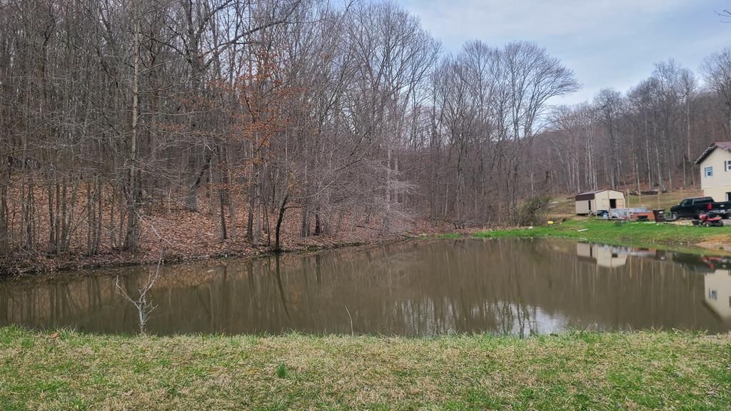 Real estate listing image