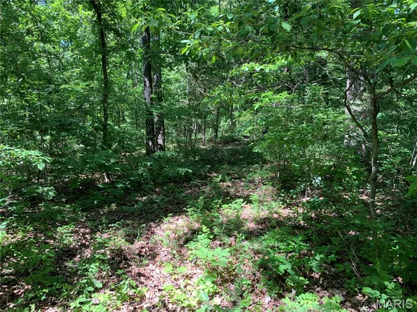 0 Pcr 842, Saint Mary, MO 63673