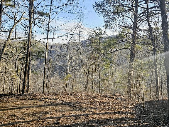 5th image of 137 Abe Ct