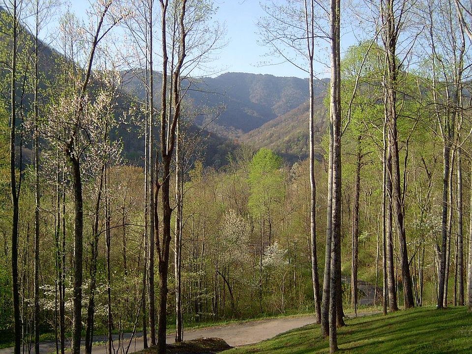 View from front porch