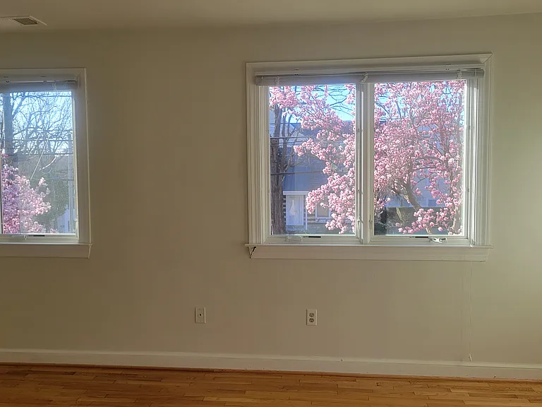 216 E Marshall St — Photo 16