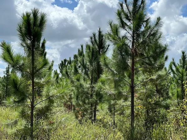 Lot 1 SW 50th Ave, Bell, FL 32619