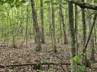 0 Company Farm Rd Lot 7, Coalmont, TN 37313