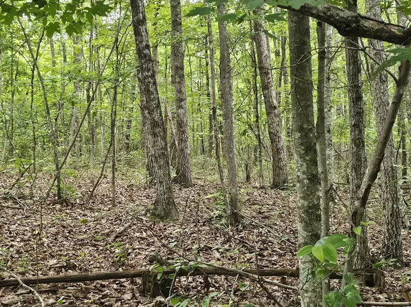 0 Company Farm Rd Lot 7, Coalmont, TN 37313